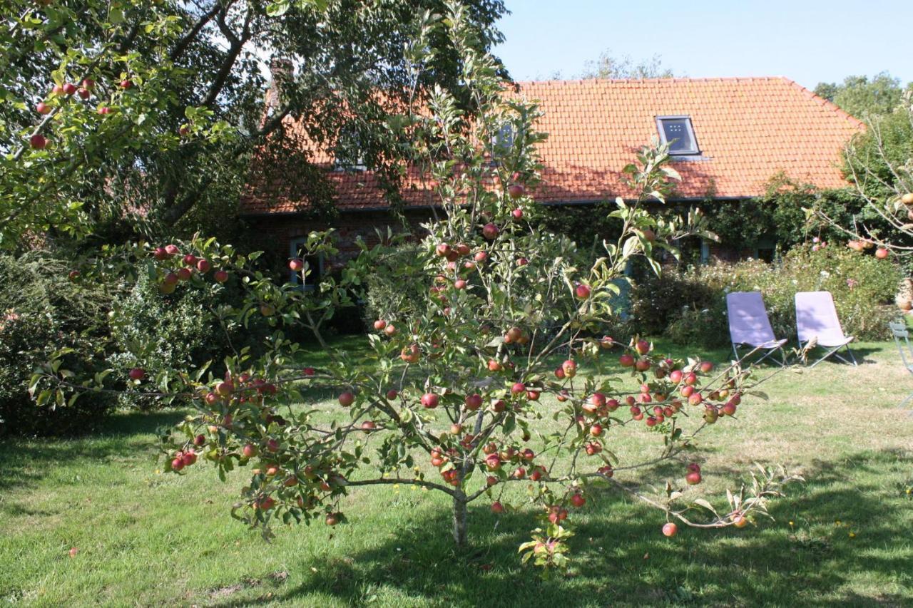 Petite Maison 滨海瓦朗日维尔 外观 照片